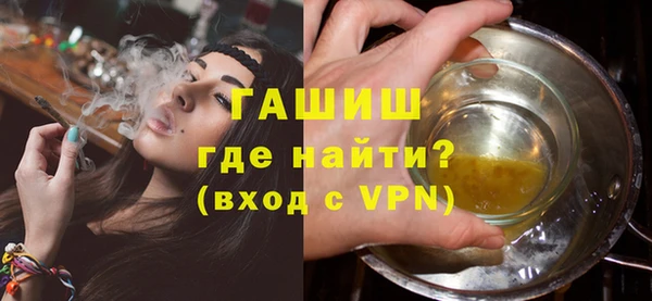 сатива Новозыбков