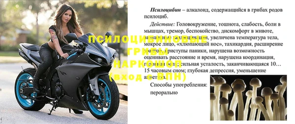 прущая мука Нея
