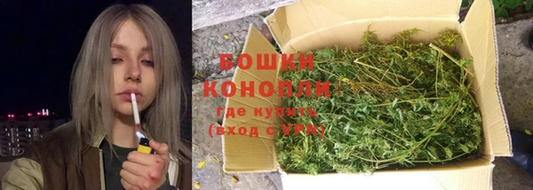 прущая мука Нея
