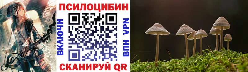 Псилоцибиновые грибы Cubensis  даркнет сайт  Крым 