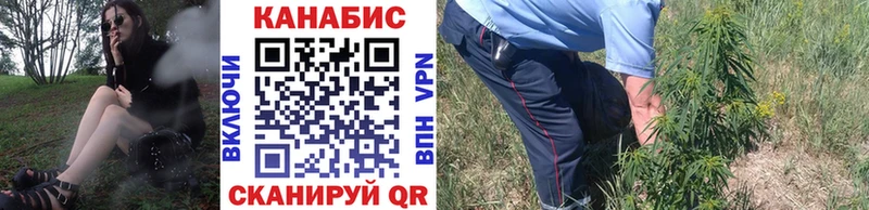 Бошки Шишки Amnesia  Крым 